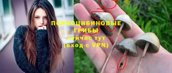 ГАЛЛЮЦИНОГЕННЫЕ ГРИБЫ Каменногорск