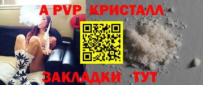 стаф Донской