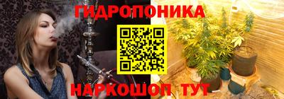 стаф Донской