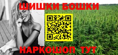 стаф Донской