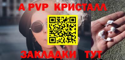 стаф Донской