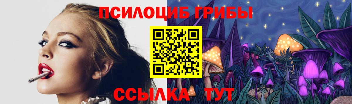 Янаул  Псилоцибиновые грибы MAGIC MUSHROOMS  Вход с VPN  Псилоцибиновые грибы мицелий 